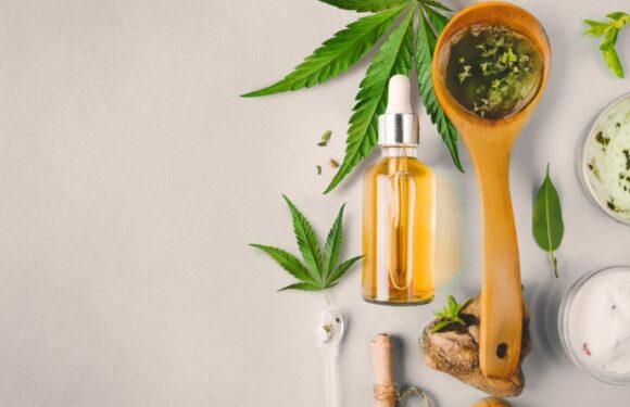 What Is Full Spectrum CBD And How Can It Be Used?